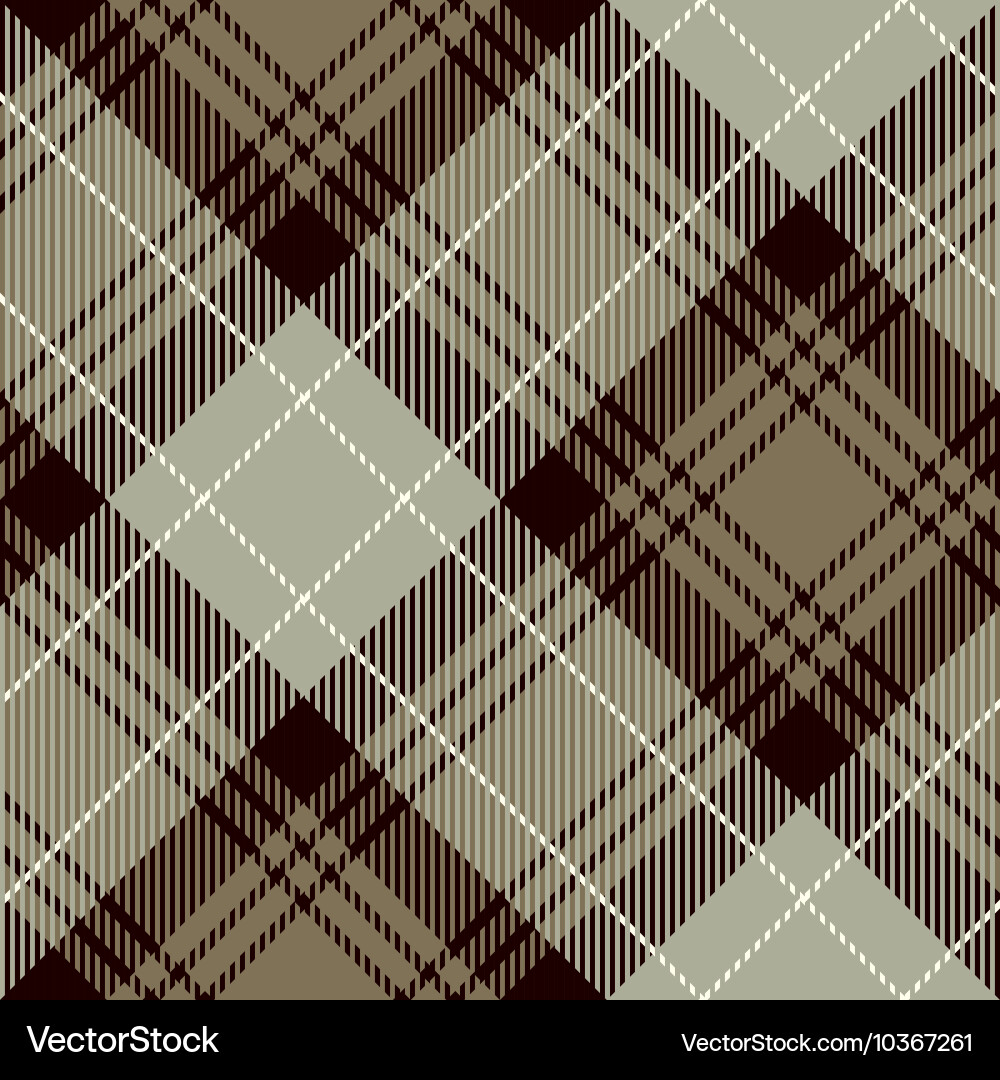 Tartan Plaid Pattern vector image