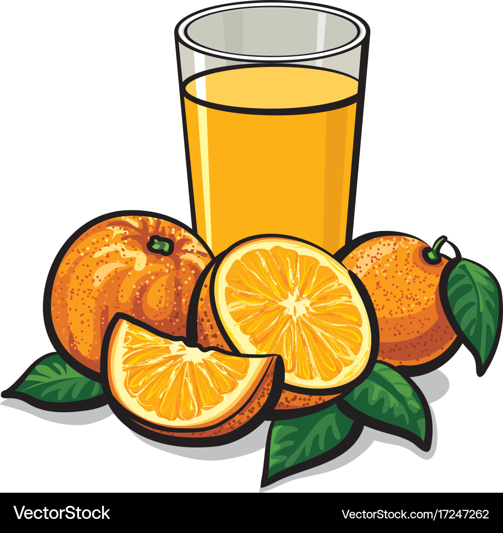 Fresh orange juice Royalty Free Vector Image - VectorStock