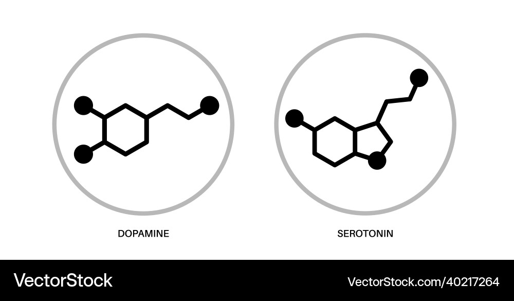Serotonin dopamine formula Royalty Free Vector Image