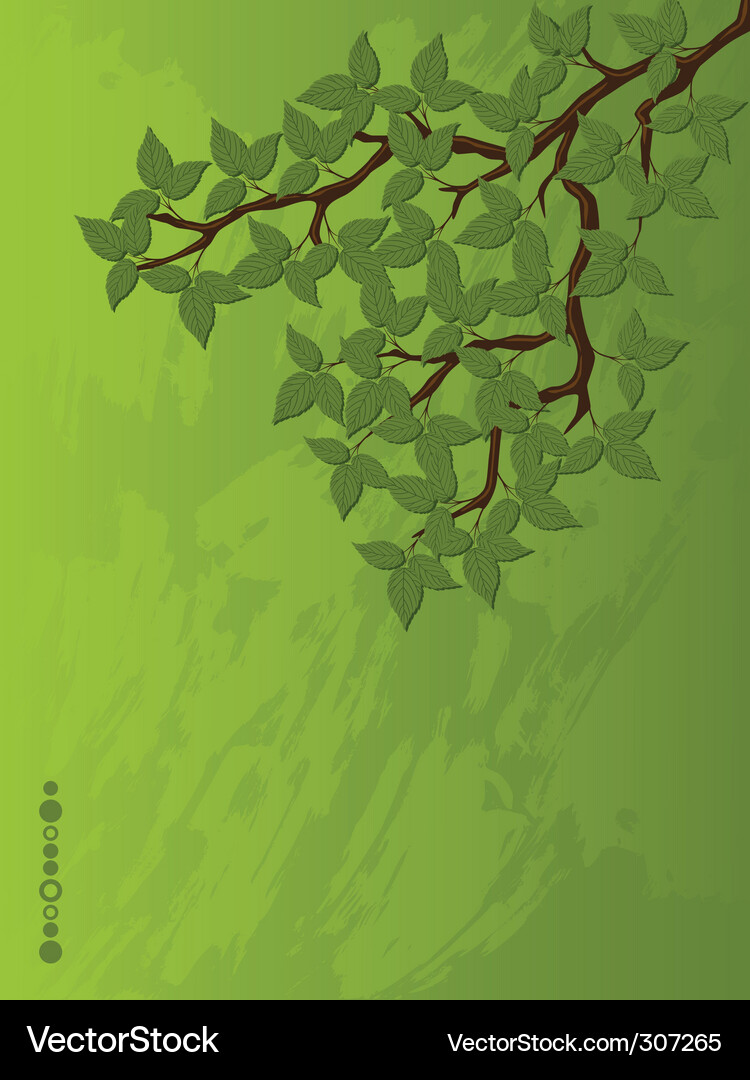 Grunge background Vector Image