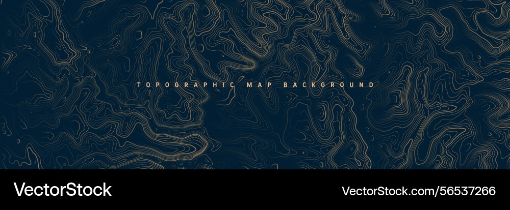Colorful topographic map with contour lines Colorful topographic map with contour lines vector image
