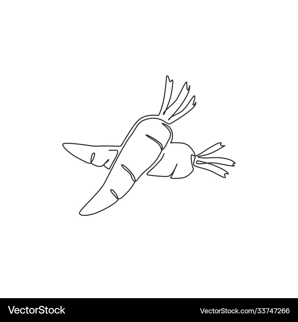 Continuous Line Carrot Heap vector image