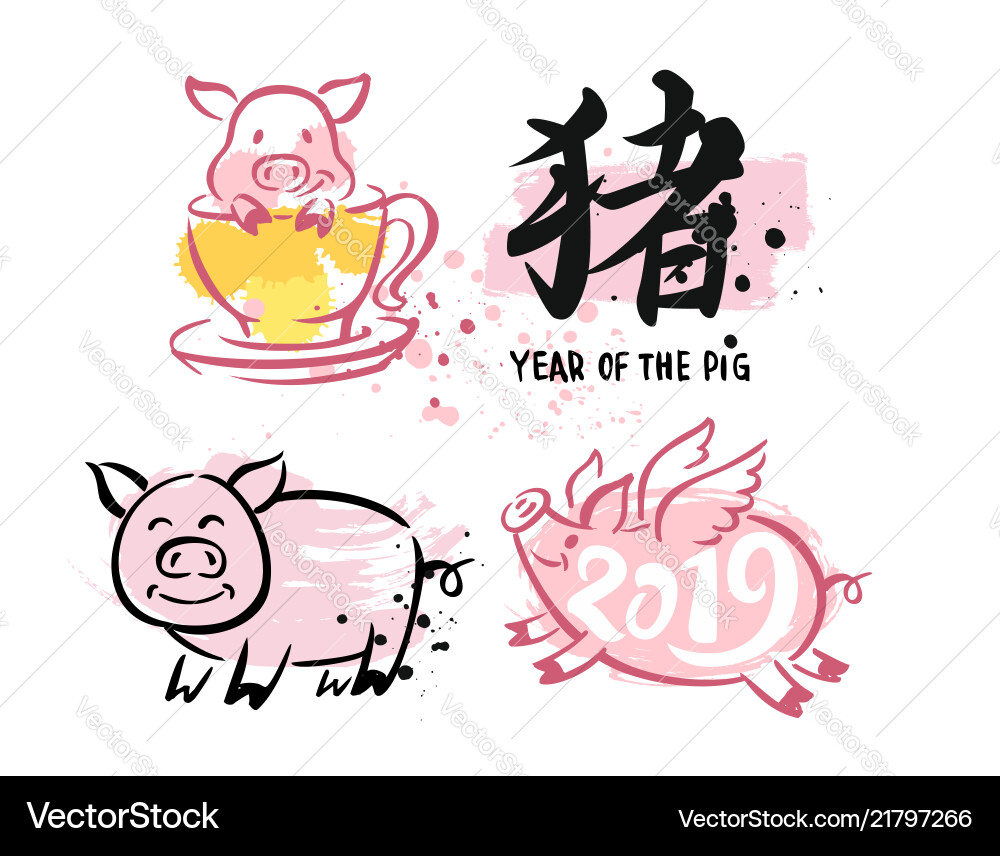 Year of the pig vector image