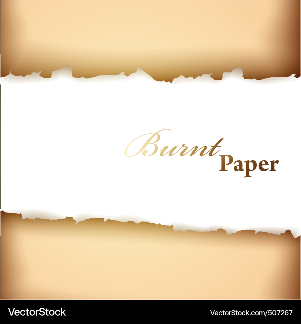 Antique Burned Paper Frame vector image
