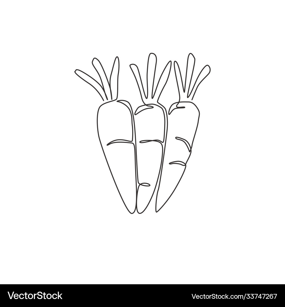 Line drawing carrots Vector Images \u0026 Graphics for Commercial Use |  VectorStock, image size:1000x1080