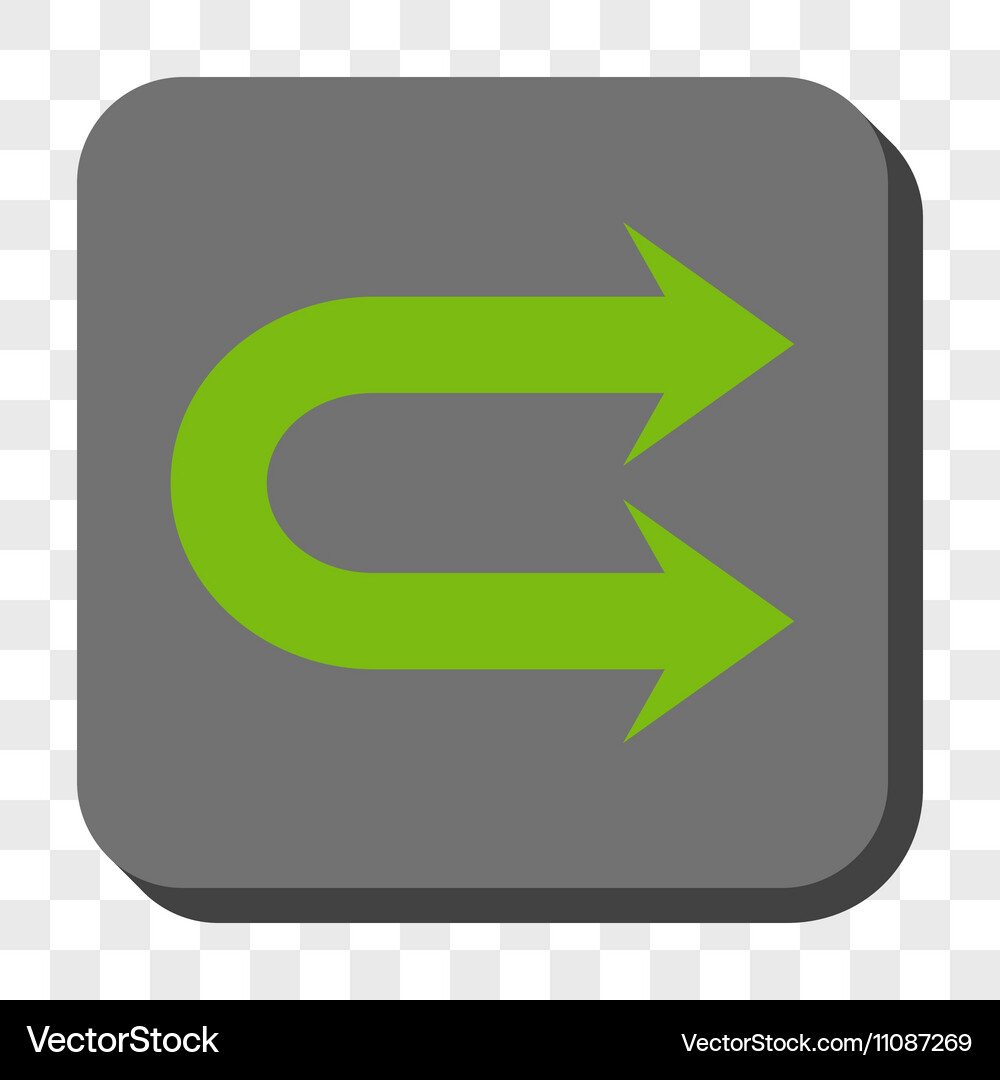 Double right arrow rounded square button Vector Image