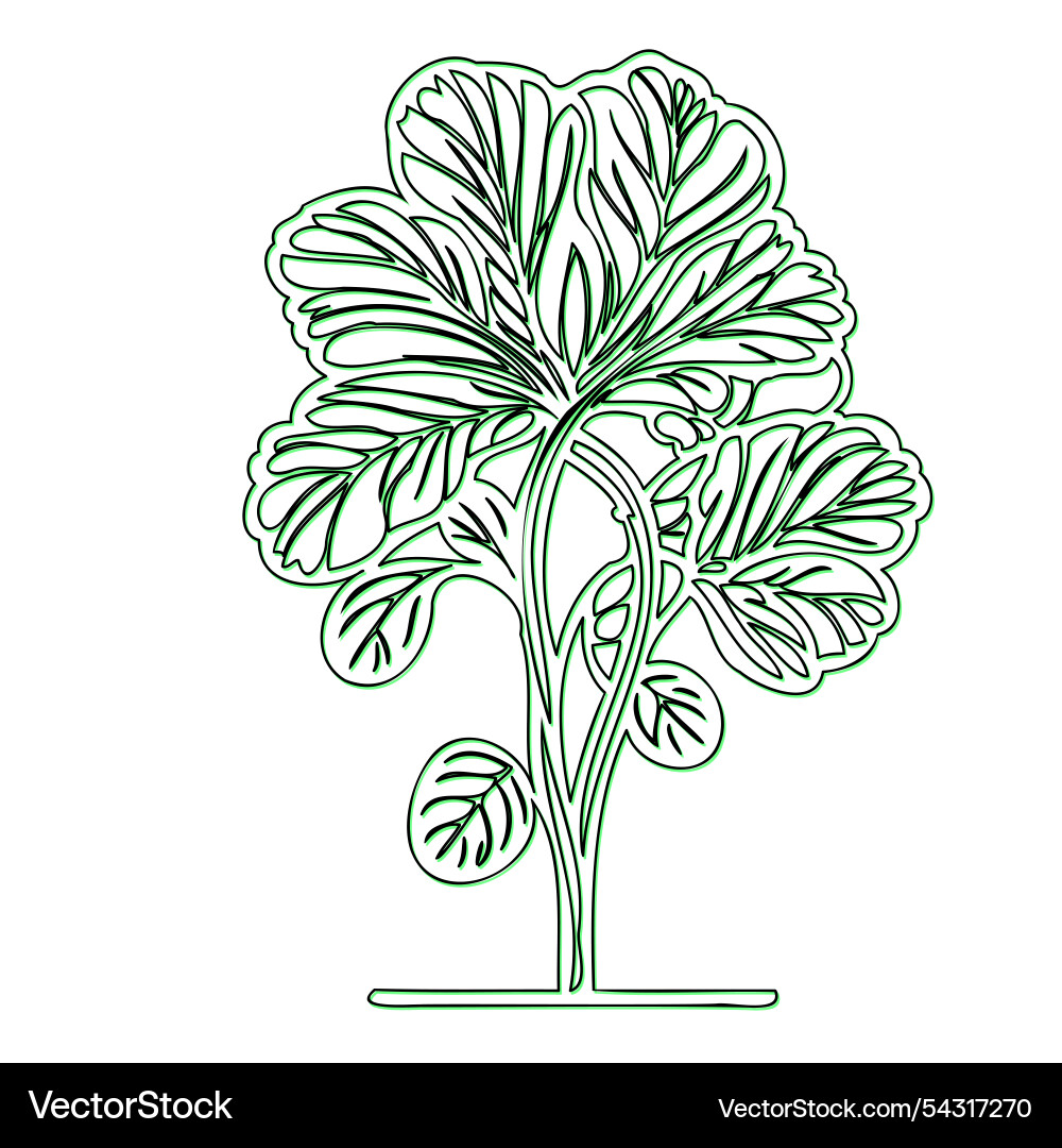 Simple line drawing of a tree with single trunk Vector Image