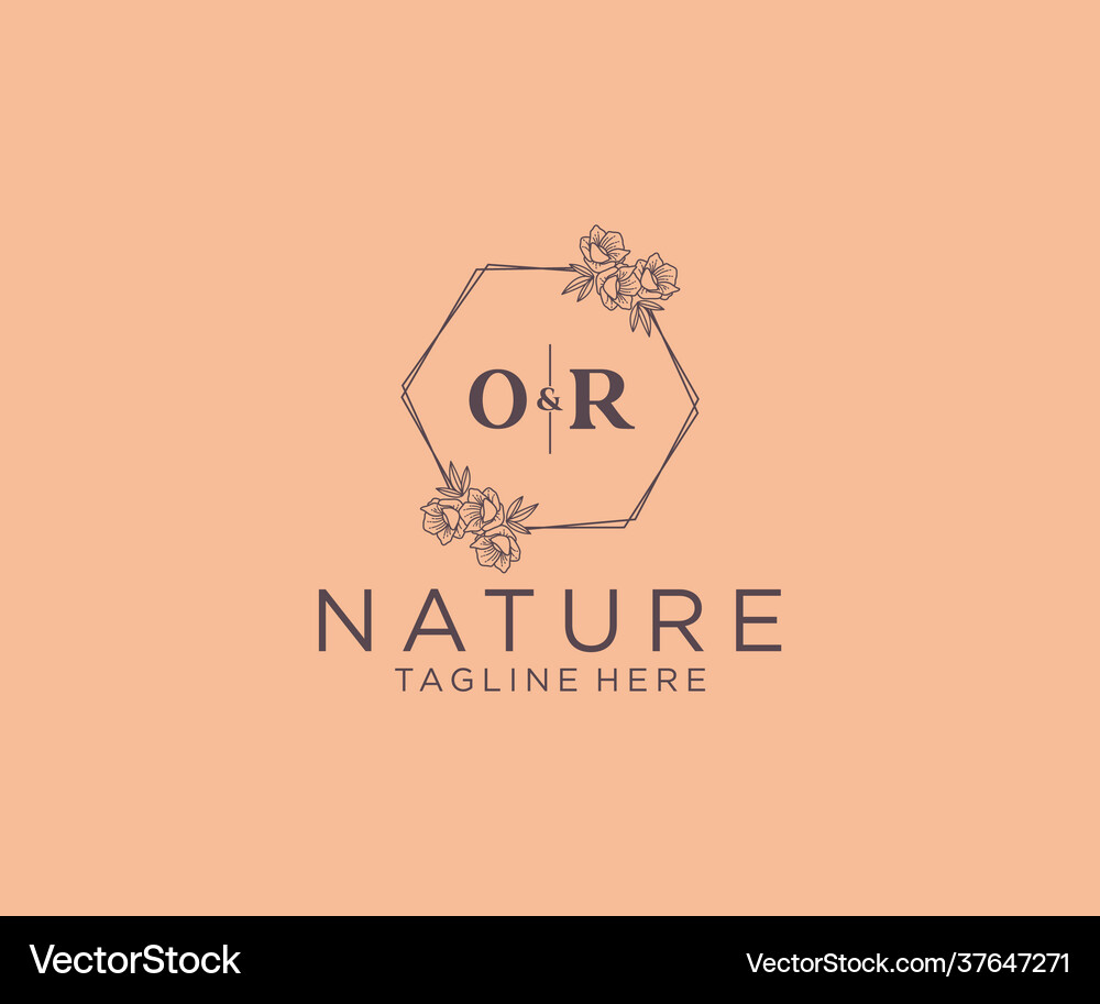 Initial or letters floral frames botanical – Royalty-Free Vector ...