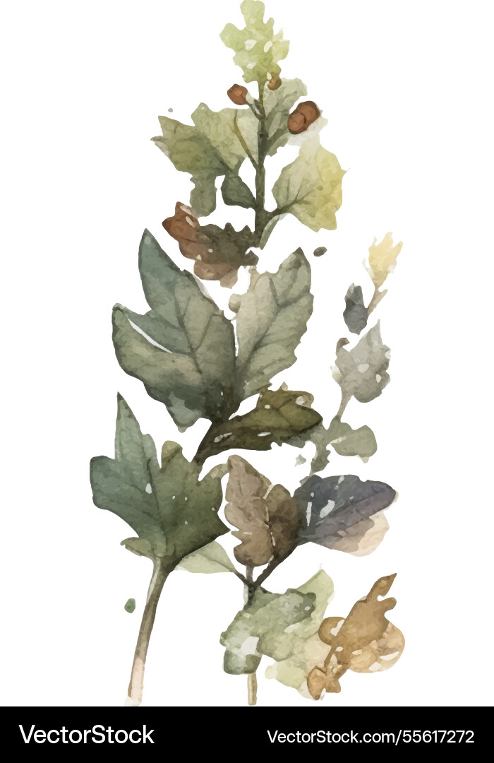 Aquarell bemalte Blume Hand gezogen Aquarell bemalte Blume Hand gezogen vektorbild