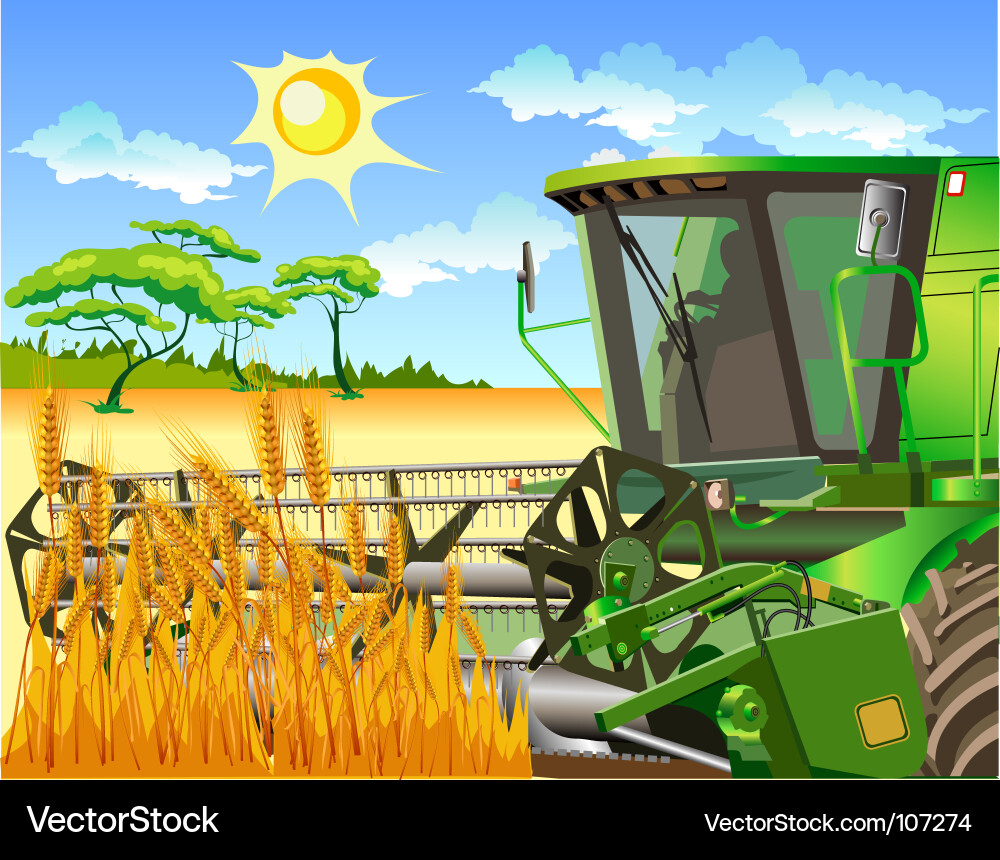 Harvest Field with Tractor Vector Image