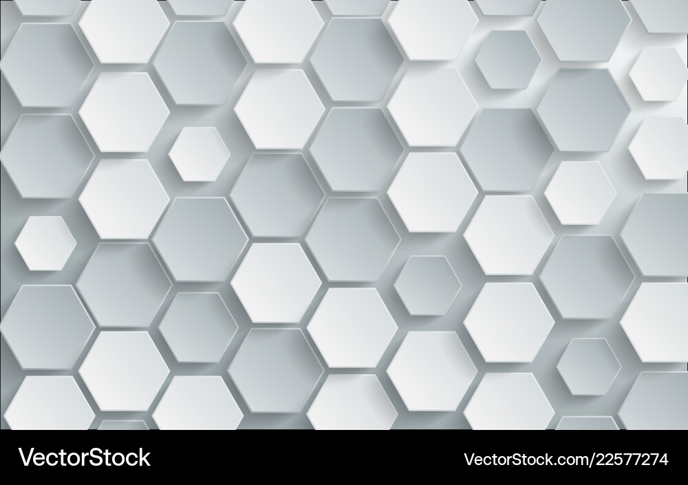 White Hexagon Pattern Background Vector Image