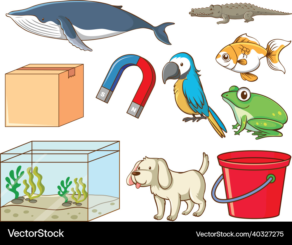 Set of various animals and objects Set of various animals and objects vector image