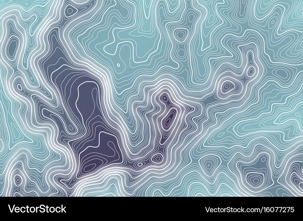 Topographic Map Background vector image