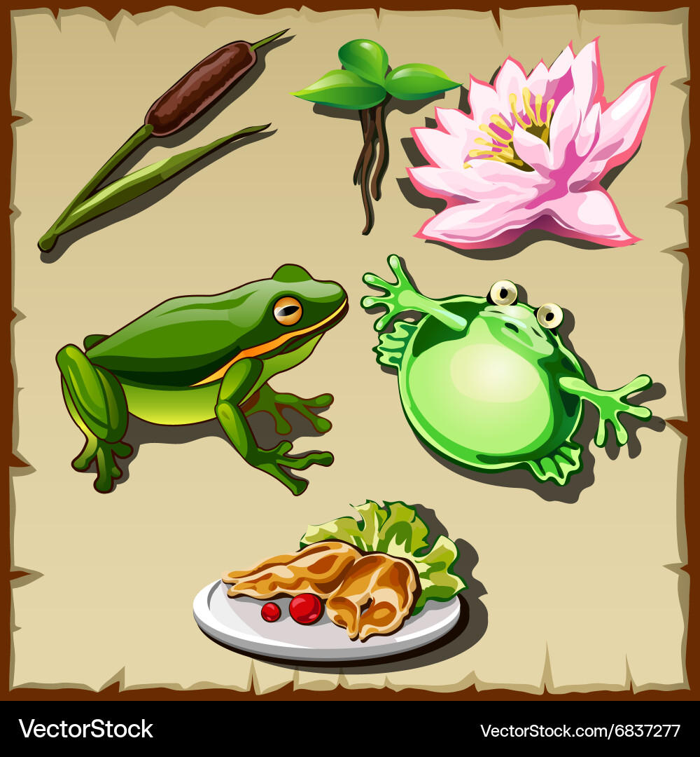 Great frog kingdom set of objects related vector image