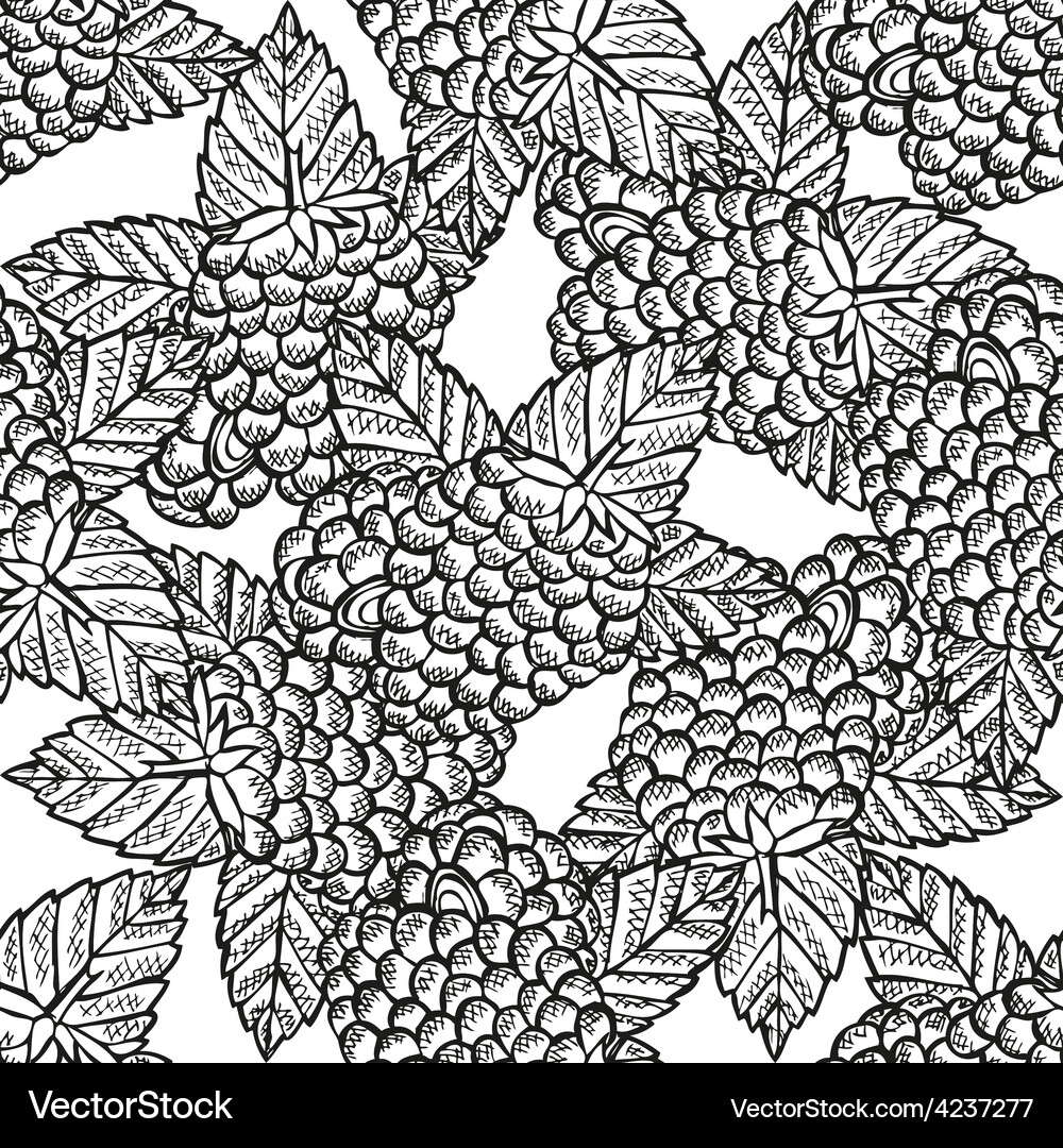 Raspberry Pattern Vector Image