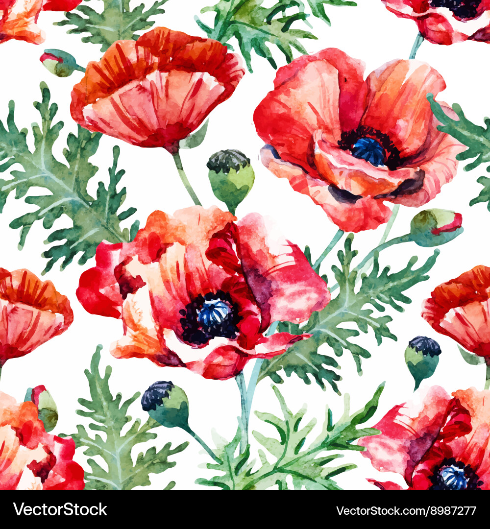 Watercolor Poppy Floral Pattern vector image