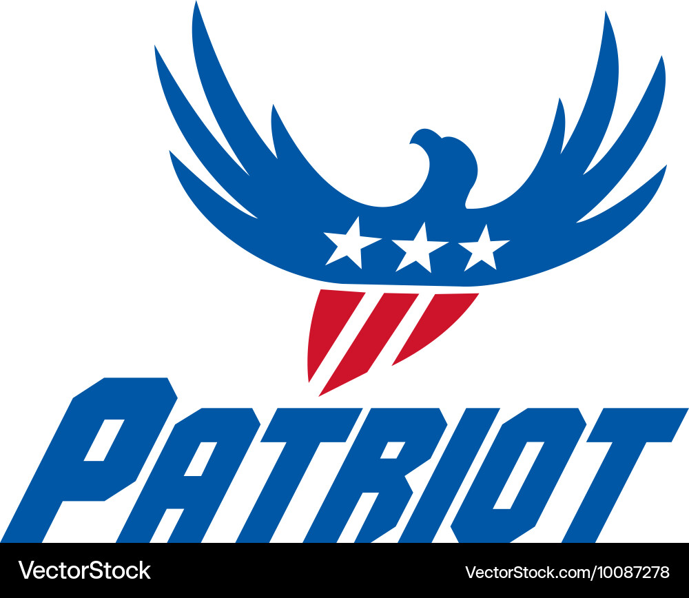 American Eagle with USA Flag vector image