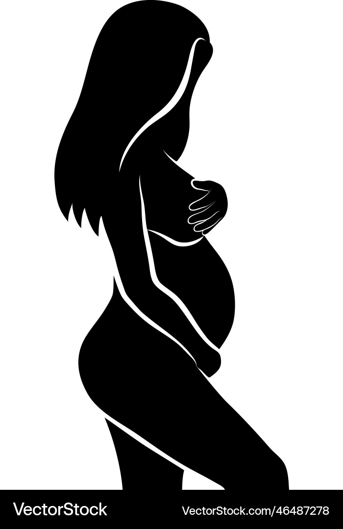 Pregnancy Vector Image