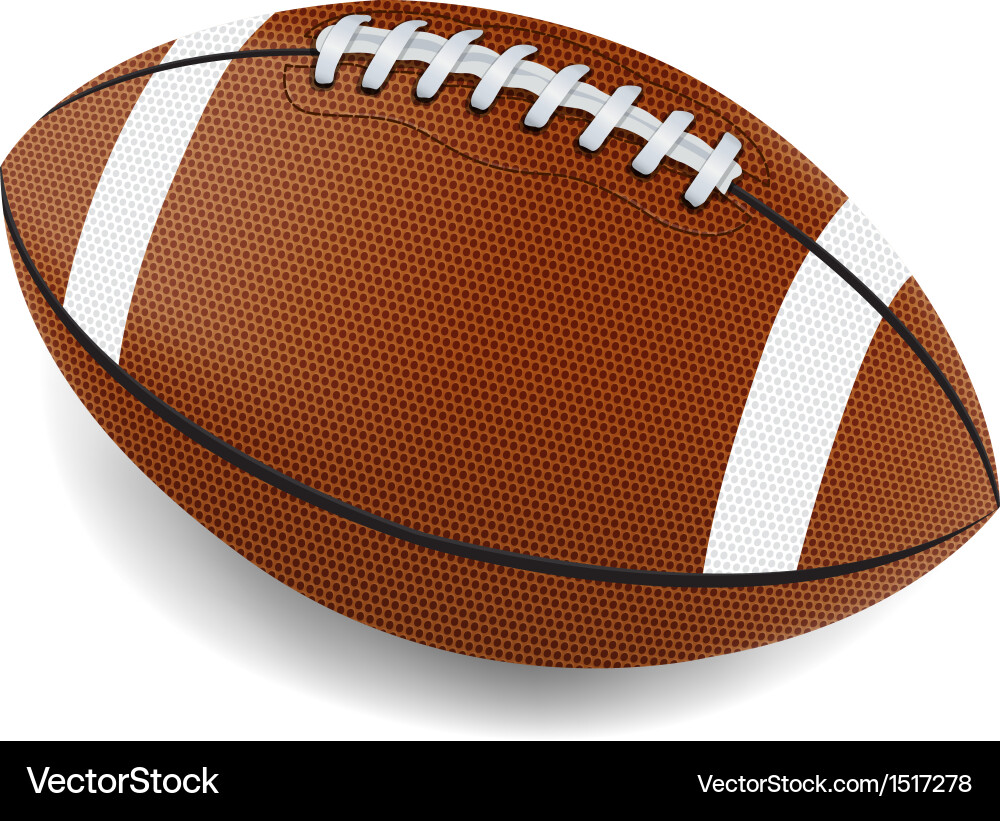 Realistic American Football vector image