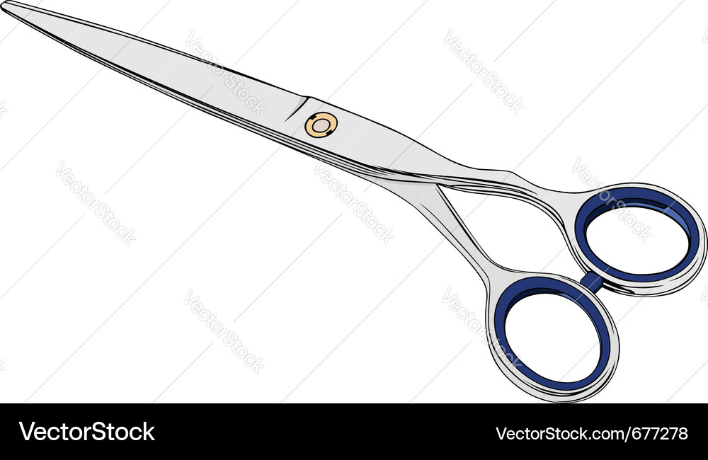 Scissors Vector Image