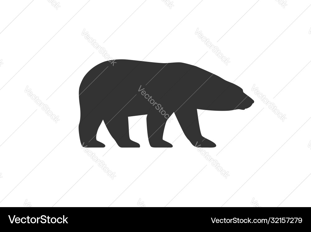 Arctic bear