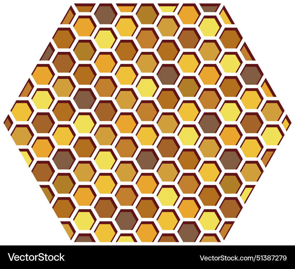 Honeycombs pattern design Honeycombs pattern design Vector Image