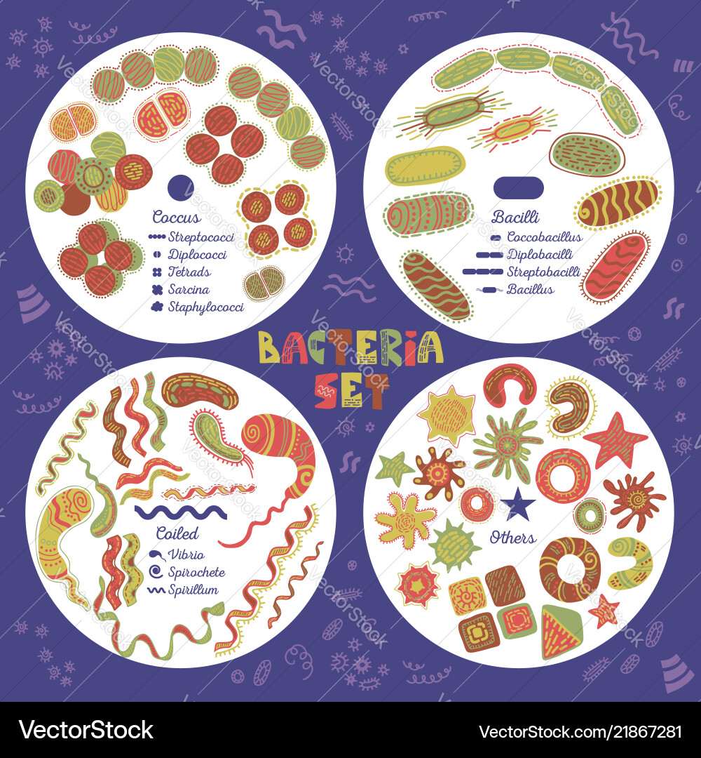 Bacteria set Royalty Free Vector Image - VectorStock