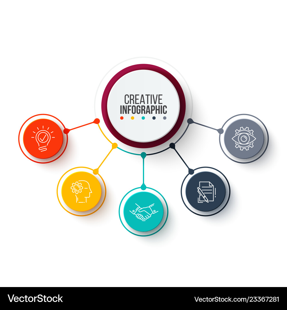 Business Data Process Chart - Steps & Options vector image