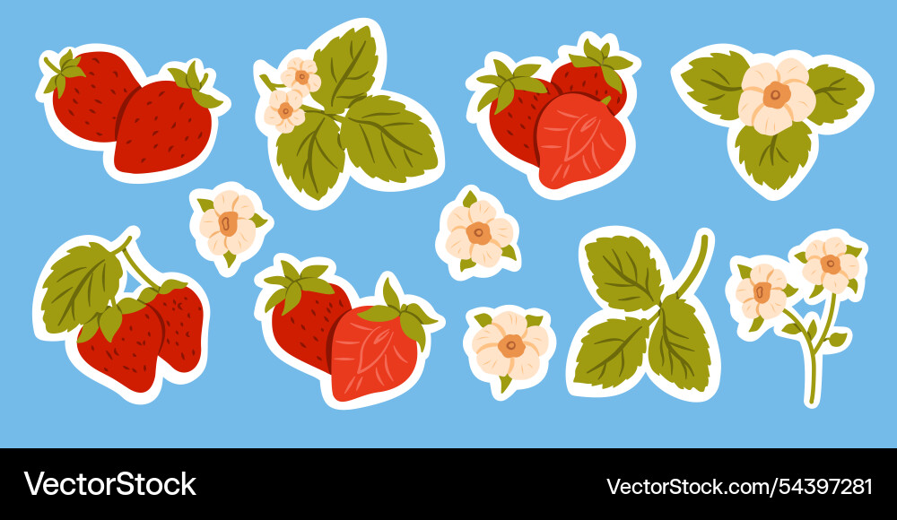 Strawberry fruit flat sticker set Strawberry fruit flat sticker set vector image