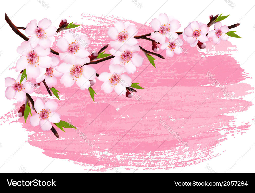 Pink paint sakura branch banner Vector Image