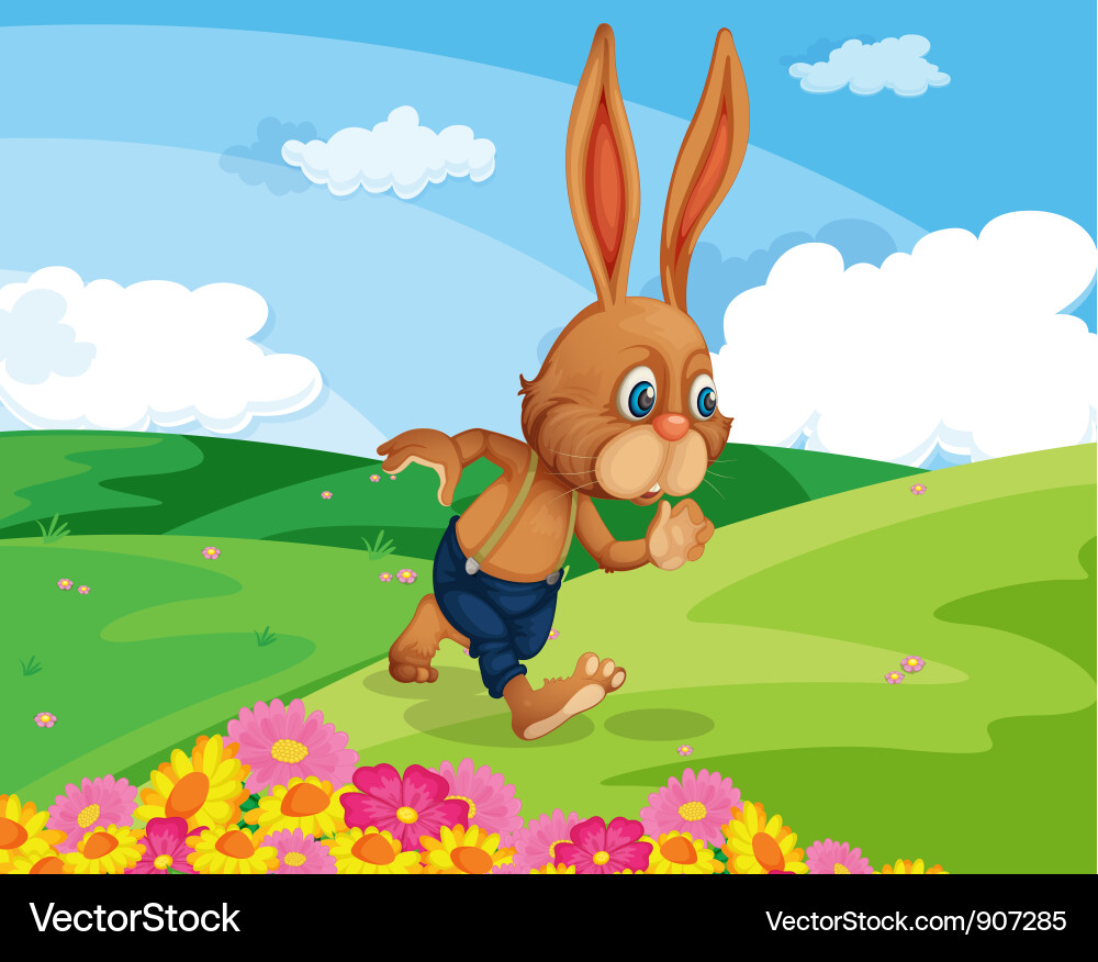 Rabbit in field Vector Image