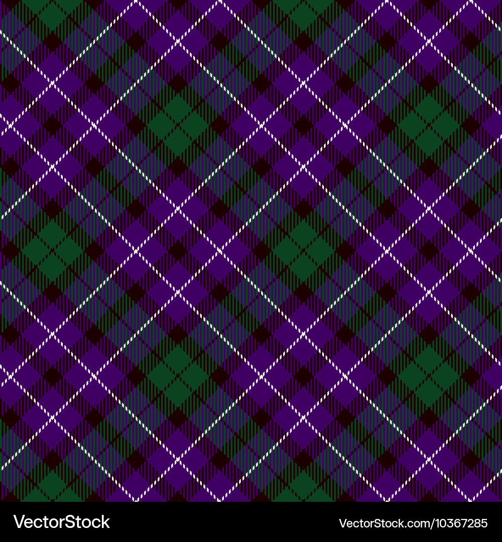 Tartan Plaid Pattern vector image