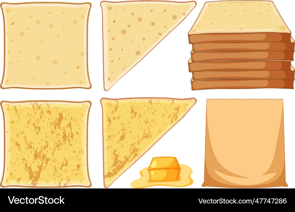 Set of bread and toast Vector Image