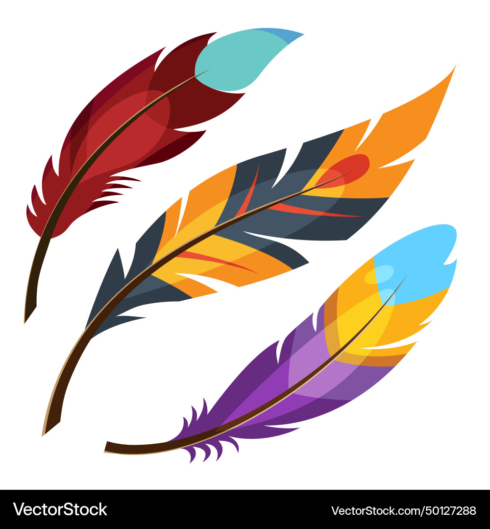 Feather color set Royalty Free Vector Image - VectorStock