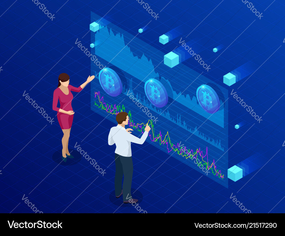 Bitcoin Analytics Dashboard vector image