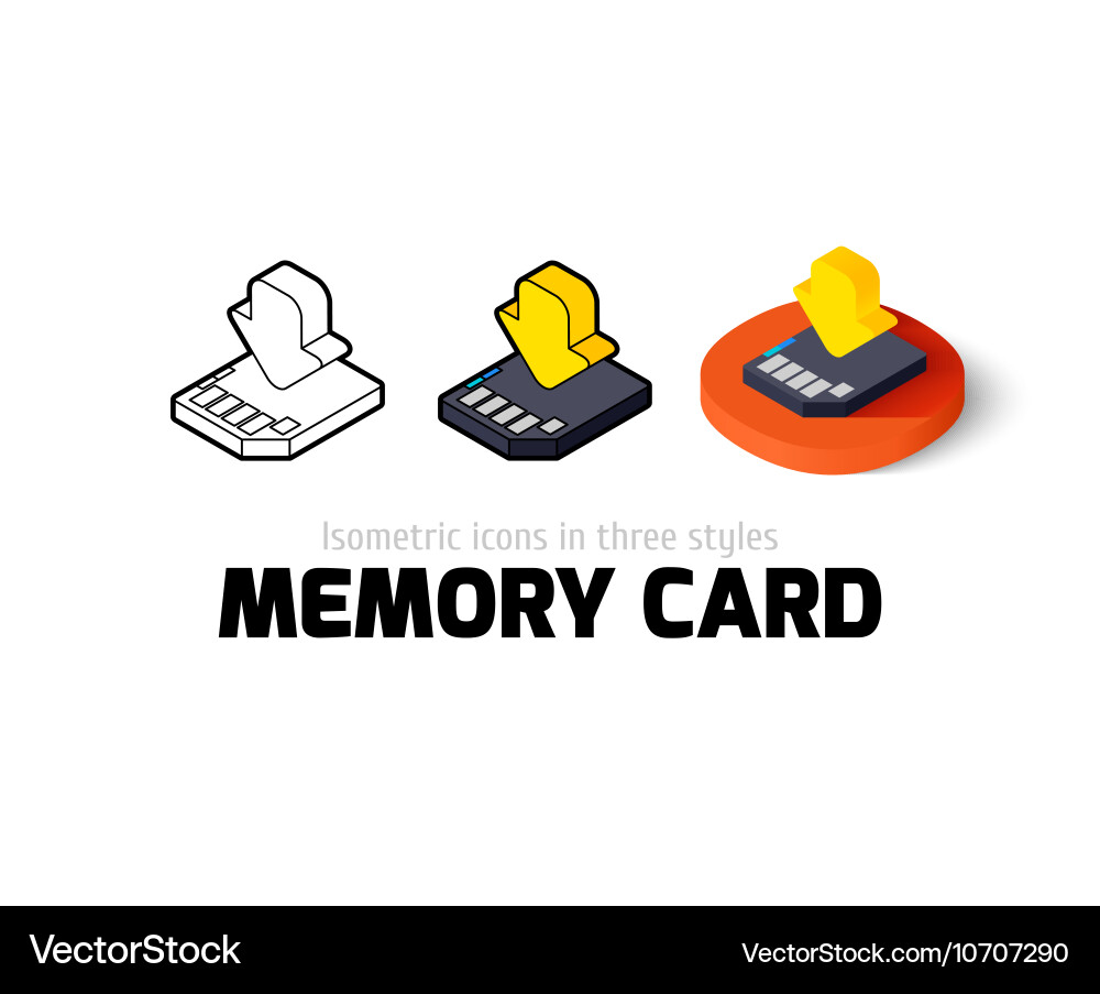 Memory card icon in different style Vector Image