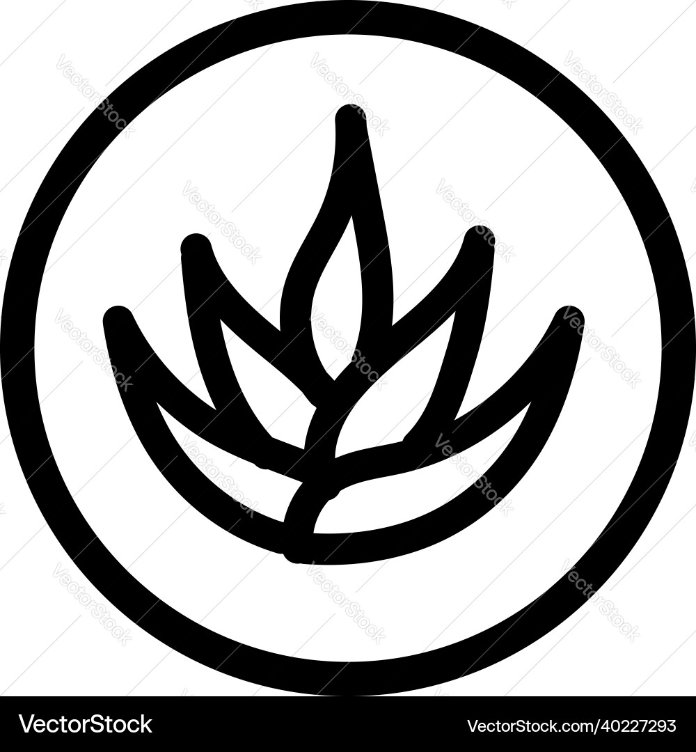Aloe vera pixel perfect linear icon Aloe vera pixel perfect linear icon vector image