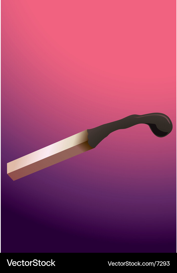 Burned down match Vector Image