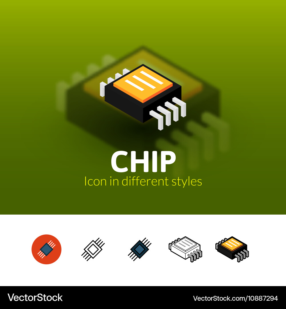 Chip icon in different style vector image