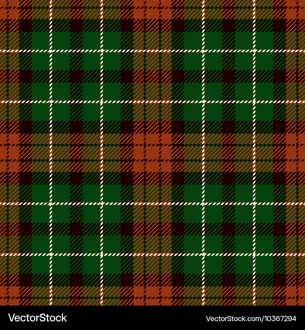 Tartan Plaid Pattern vector image