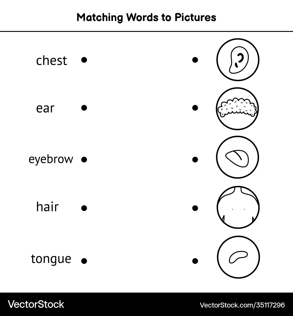 Match words to pictures black and white Match words to pictures black and white vector image