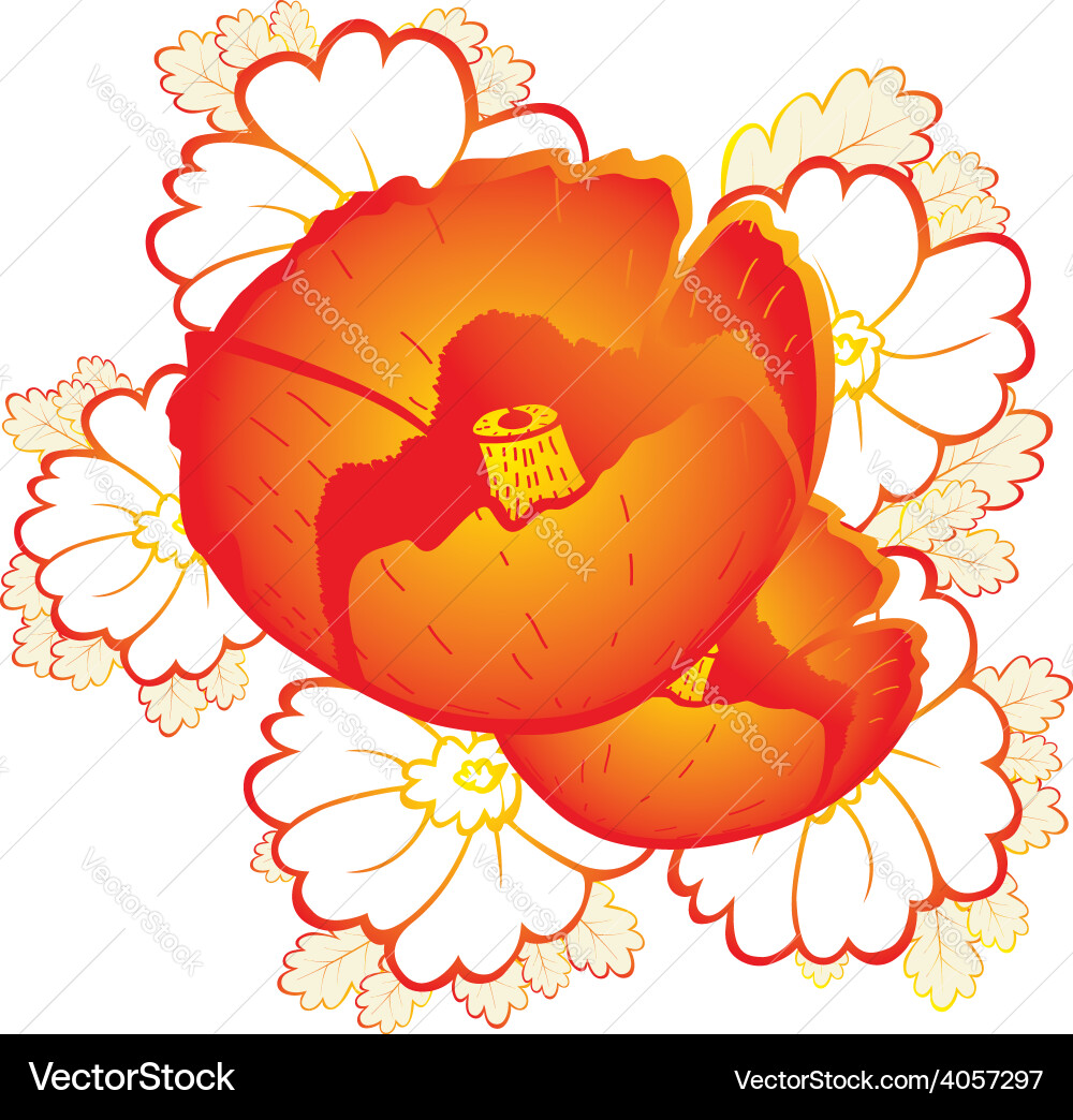 Abstract elegance seamless pattern with red poppie vector image