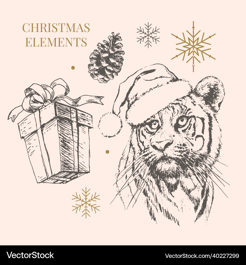 Tiger in christmas hat print on a postcard Tiger in christmas hat print on a postcard vector image