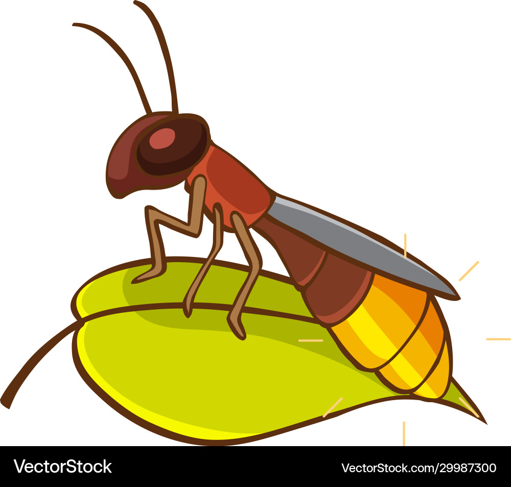 Little firefly on green leaf white background Little firefly on green leaf white background vector image