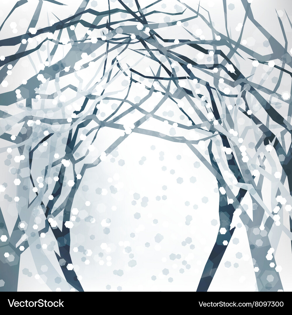 Winter Snowflake Abstract Background Vector Image