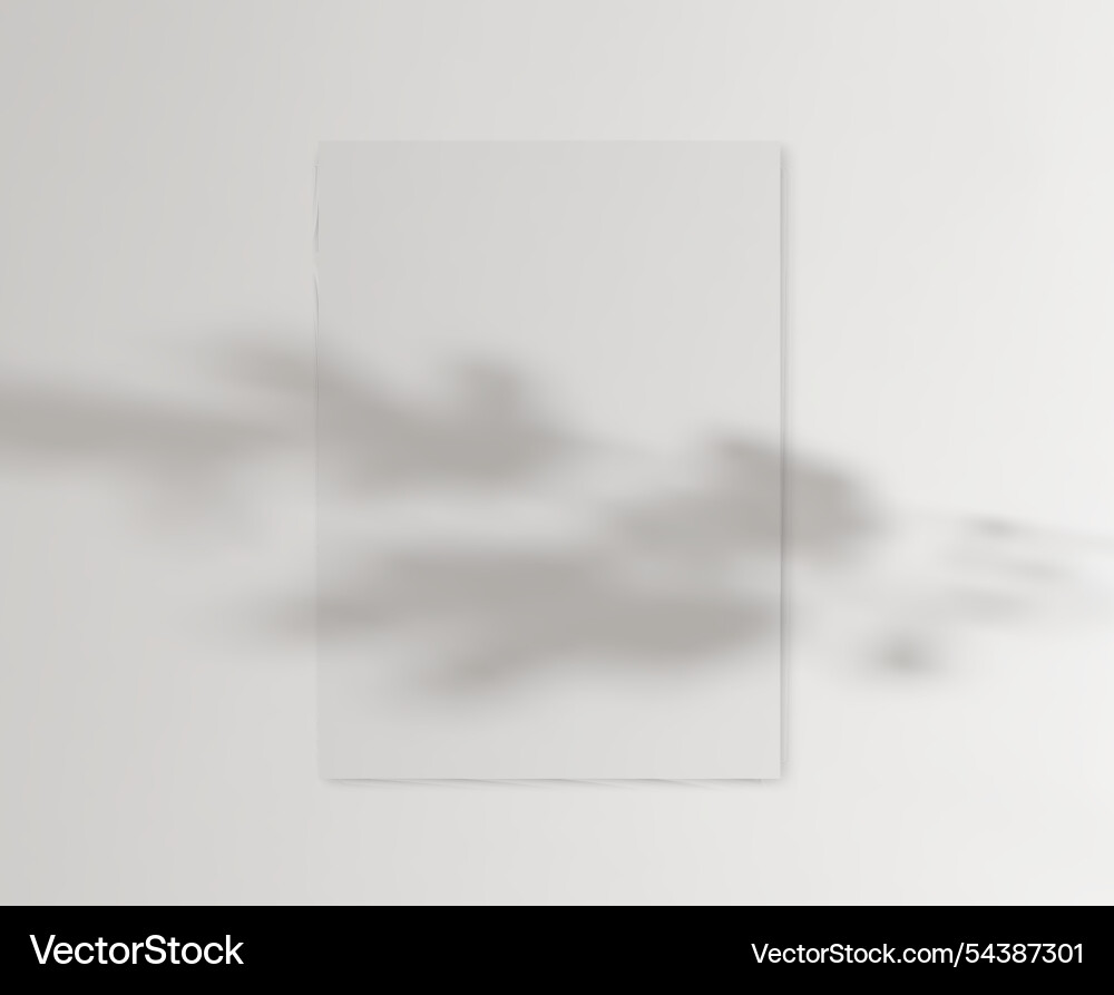 Drop shadow overlay effect on blank sheets Drop shadow overlay effect on blank sheets vector image