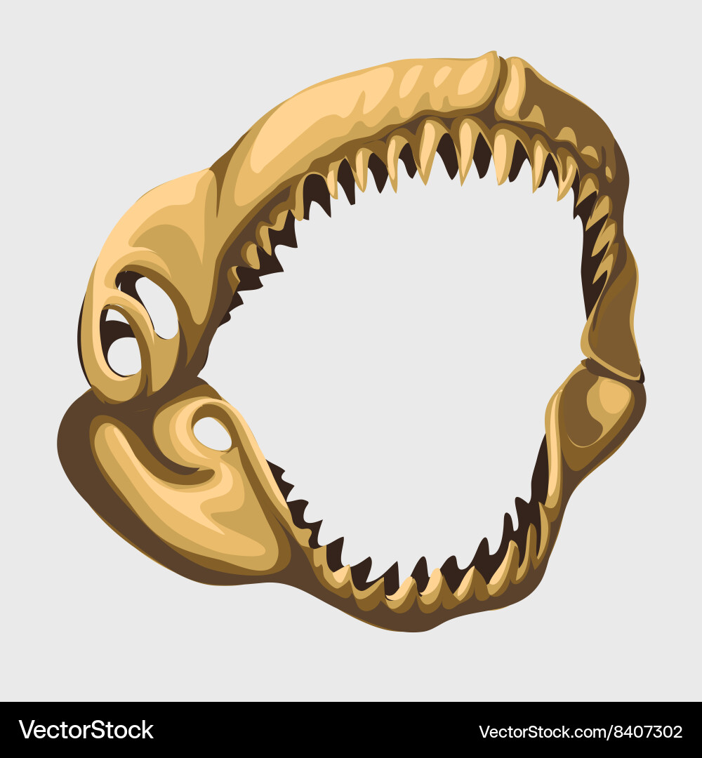 Fossil toothy open jaw of shark image vector image