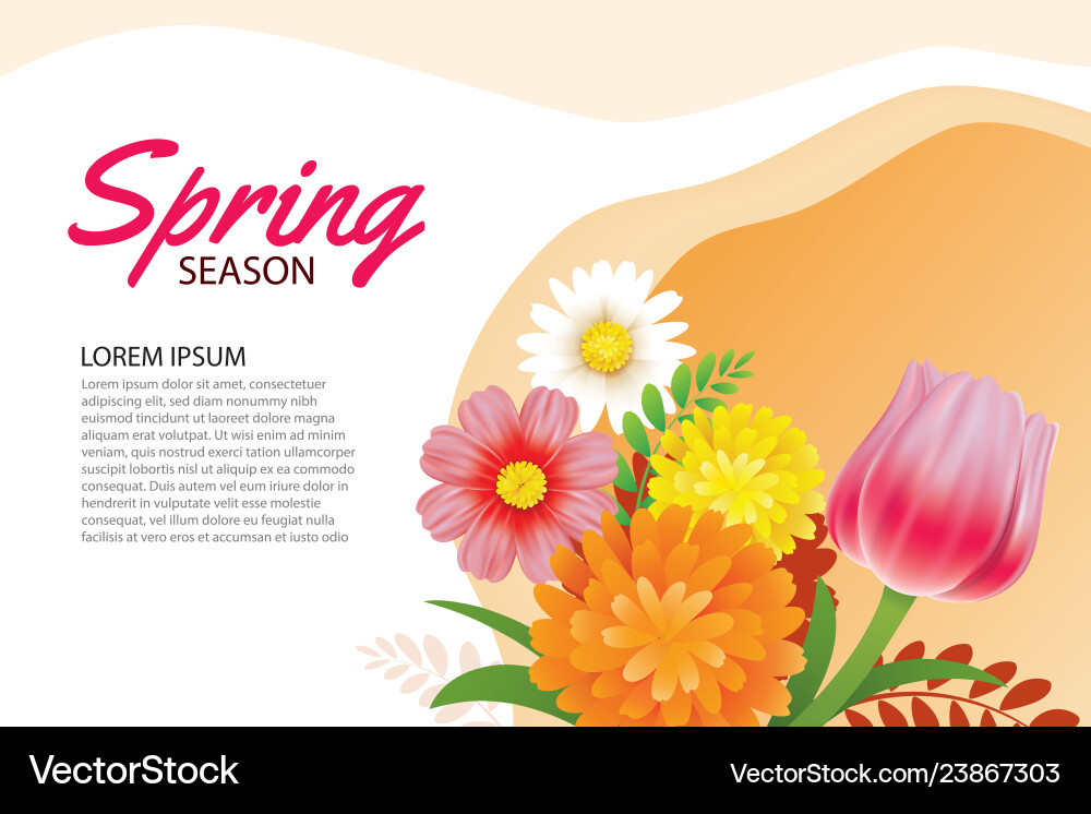 Hello spring greeting card and invitation Hello spring greeting card and invitation Vector Image