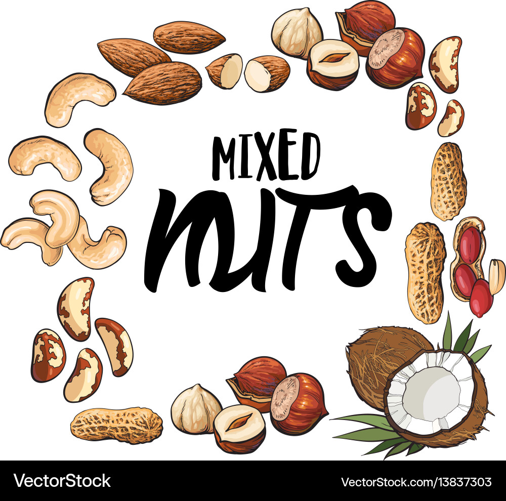 Square frame various nuts with round place Vector Image