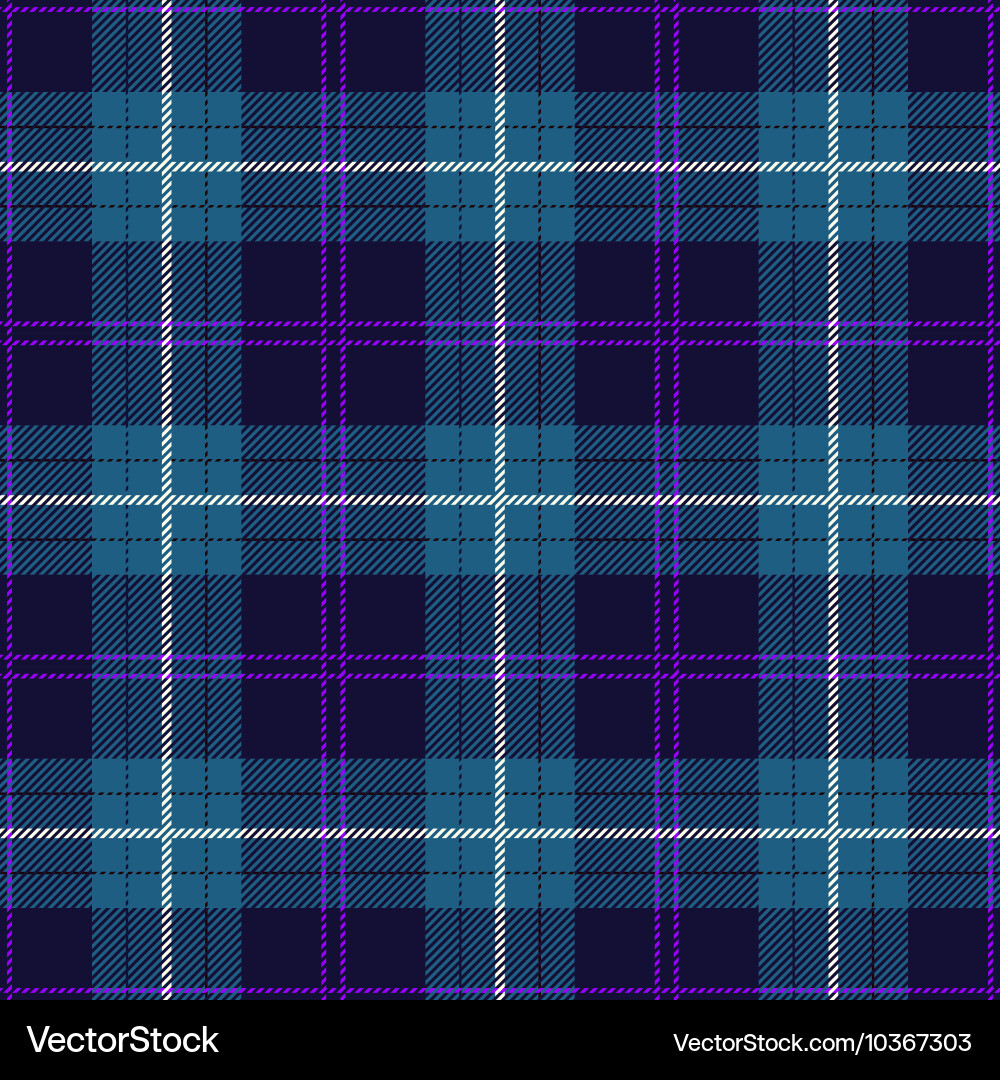Tartan Plaid Pattern vector image